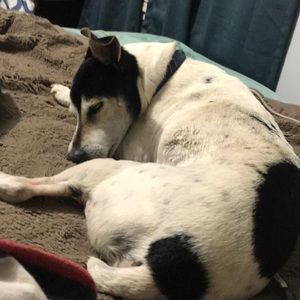 Meet your Posher, Lane